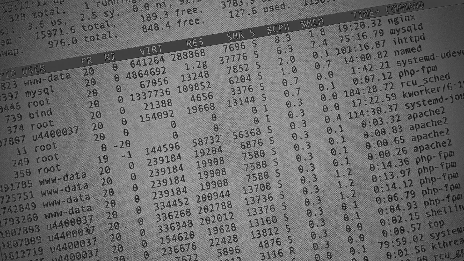 Настройка сервера в Верее