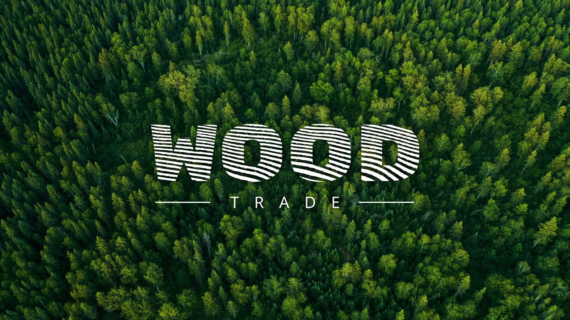 Разработка интернет-магазина компании «Wood Trade» в Верее
