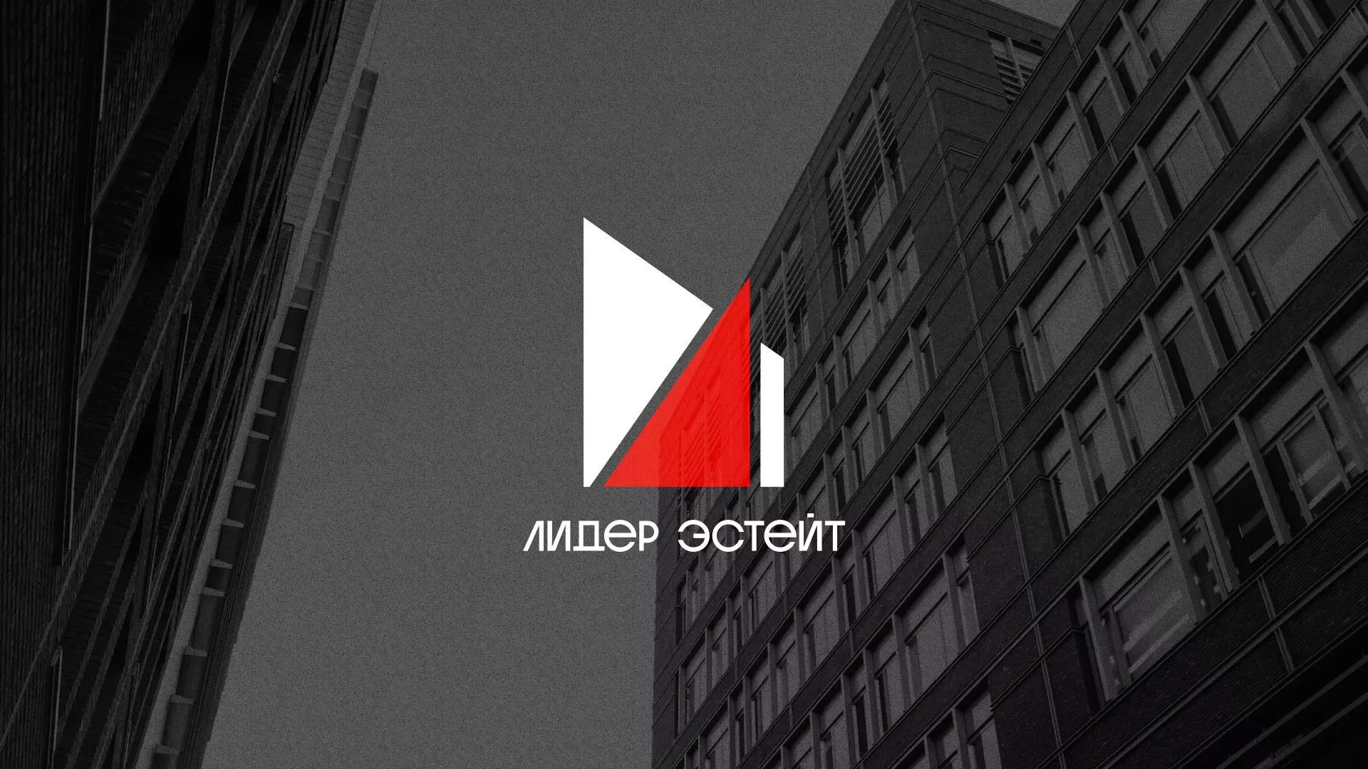 Сделали логотип для агентства недвижимости «Лидер Эстейт» в Верее